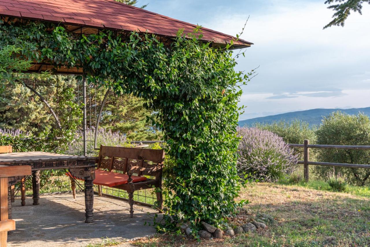 Country House Art And Garden Casa de hóspedes Monte Antico Exterior foto